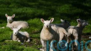 Temperatures peak on warmest day of the year so far