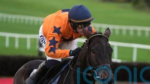 Fairyhouse or Punchestown next for Final Demand