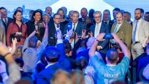 Reform suspends Holyrood candidate less than 24 hours after being announced