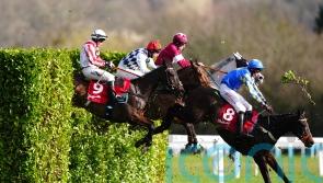 Roi Mage still going strong with brilliant Down Royal second