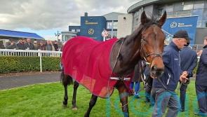 Causeway looks the part with Madrid Handicap strike at Naas