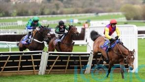 Sober Glory bidding for Supreme compensation at Aintree