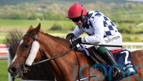 Joseph O&rsquo;Brien eyeing up National bid for Banbridge