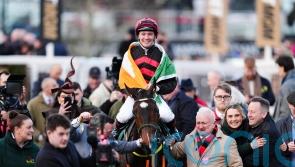 The Mourne Rambler aimed at Punchestown for bumper double