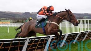 Diva Luna has spring options after Cheltenham no-show