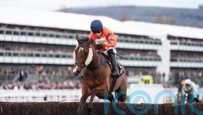 Cheltenham winner Madara given Topham target