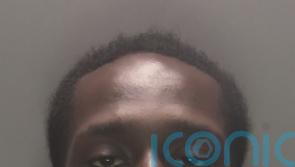 Cannabis-user who stamped passer-by to death found guilty of murder