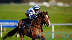 Derham thinking of Irish excursions with smart novices
