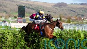 Cross-country hero Final Orders poised to take National chance