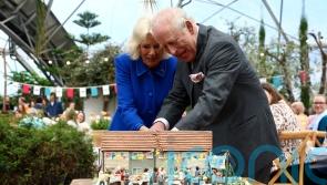King and Queen share a giggle as they struggle to cut cake with sword