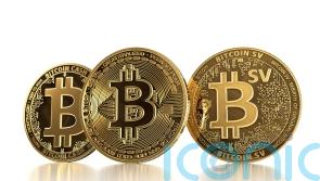 Pause on cryptocurrency donations recommended in review of foreign interference