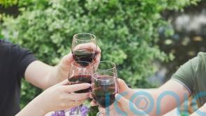 6 marvellous malbecs to salute World Malbec Day