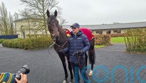 Albert Einstein ready for surprise return to action in Gladness Stakes at Curragh