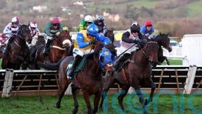 Aintree plans for Hot Fuss after just missing out at Cheltenham