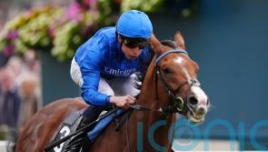 Ombudsman &lsquo;looks magnificent&rsquo; ahead of Dubai Turf tilt