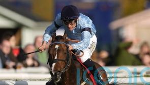 Spycatcher ticking all the boxes for Cammidge defence