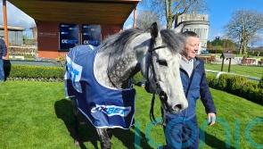 Einstein eclipsed as veteran Big Gossey takes Gladness again