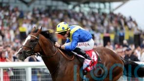 Haggas identifies Newbury as the starting point for More Thunder