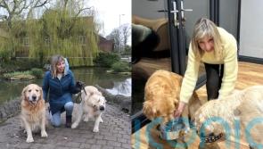 Cancer survivor spends &pound;100 a month on &lsquo;human food&rsquo; for her two dogs so they can be &lsquo;healthy for as long as possible&rsquo;