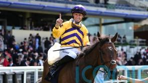 American Affair getting ready for York comeback