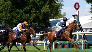 Zavateri has Irish Guineas in sight as new campaign beckons