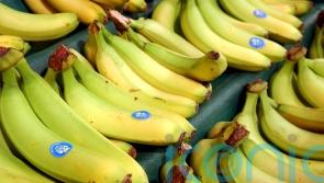 Supermarket gives out thousands of bananas for free after surplus order
