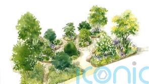 Garden designed with King for RHS flower show inspired by patterns in nature