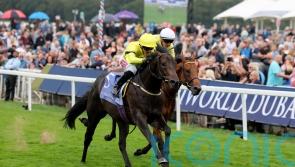 Slight setback for Lifeplan could scupper Craven plan