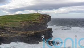 Orkney stoat eradication project boosts rare voles, hen harriers and owls