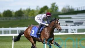 Andab adds spice to classy line-up in Burradon Stakes