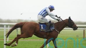 Gaucher could provide rare Newcastle winner for Willie Mullins