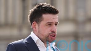 Garden cabin plans need to be rethought, says opposition TD