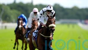 Al Qareem aiming to tower over Goliath rivals at Mussleburgh