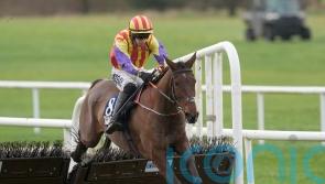 Zanoosh out to extend winning streak in Honeysuckle Hurdle