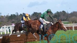 Talk The Talk done for the season as chasing career awaits