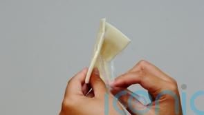 Scientists find way to make healthier and &lsquo;oozier&rsquo; vegan cheese