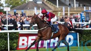 Burke sending classy duo over to Deauville for trials