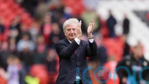 Bristol City boss Roy Hodgson hails display of goalkeeper Radek Vitek