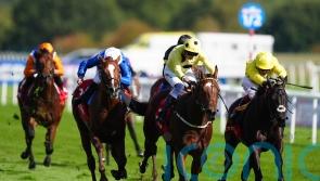 Avicenna pencilled in for Guineas trial starting point