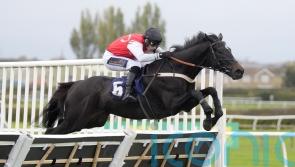 Minella Study aiming to do Nicol proud once more