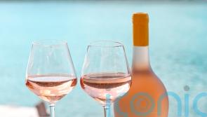 It&rsquo;s rose season &ndash; 7 superb wines to drink al fresco
