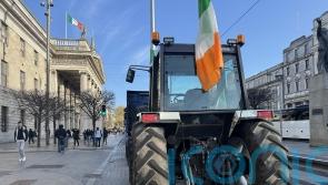 Irish army called in to remove vehicles blocking depots as part of fuel protests
