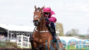 Mullins: No blame attached to Townend in fatal injury to Gold Dancer