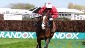 Mirabad much the best at 50-1 for Durrell and Skelton