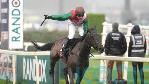 Skelton predicting very bright future for Bossman Jack