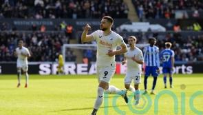 Zan Vipotnik effort enough as Swansea edge struggling Leicester