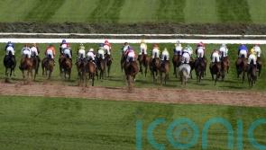 Three runners undergoing veterinary assessment following National