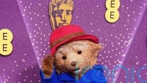 Paddington The Musical tipped for glory at Olivier Awards