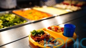 Deep-fried food to be banned on school menus and sugary treats cut down