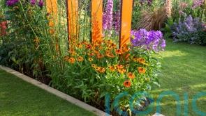 How to get your garden summer-ready